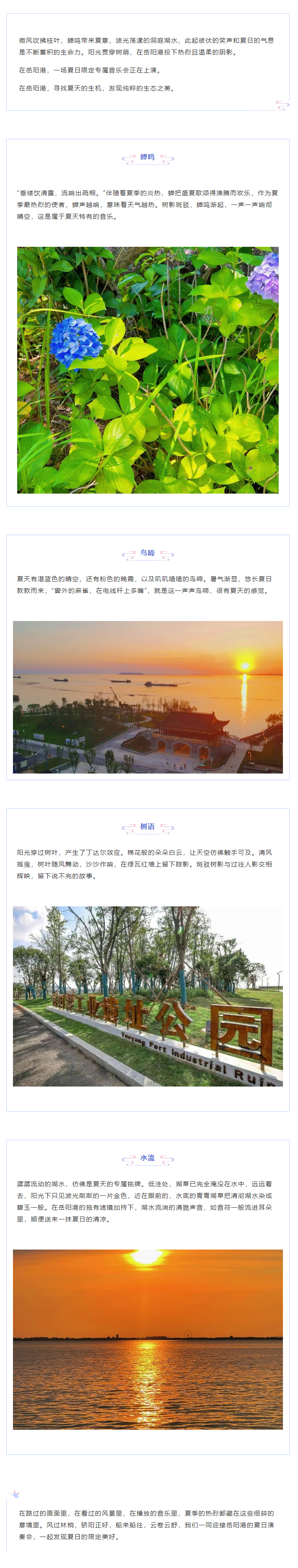 【夏日演奏會(huì)】在岳陽港，聆聽夏天的聲音.png